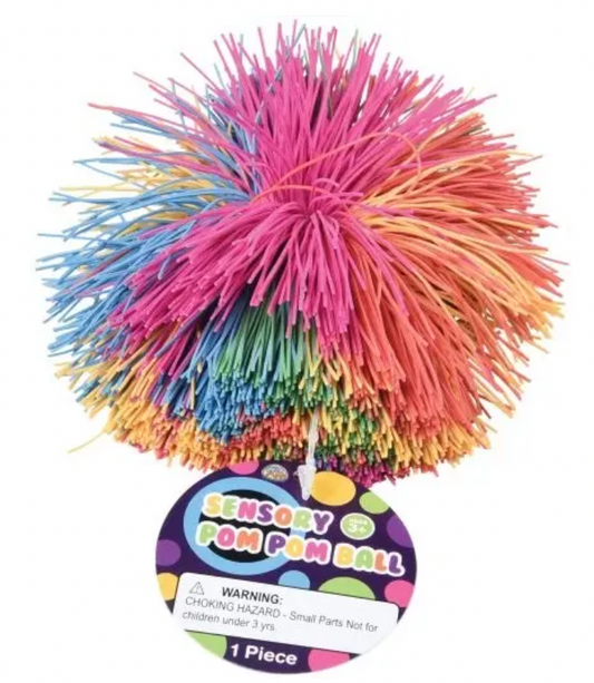 Sensory Pom Pom Ball